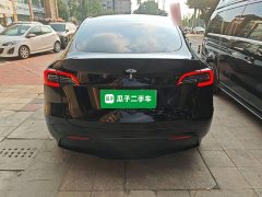 Tesla Model Y Rear-Wheel Drive - ფოტო 6
