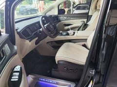 Denza BYD Denza D9 DM-i 980 AWD Luxury - ფოტო 15