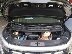 Denza BYD Denza D9 DM-i 980 AWD Luxury - ფოტო 20