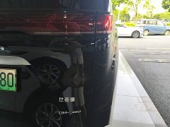 Denza BYD Denza D9 DM-i 980 AWD Luxury - ფოტო 8