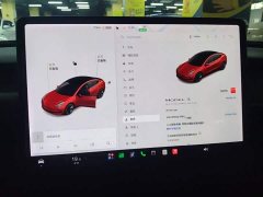 Tesla Model 3 Standard Range RWD Upgrade - ფოტო 12