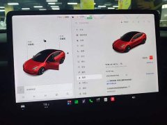 Tesla Model 3 Standard Range RWD Upgrade - ფოტო 13