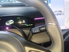 Zeekr Geely Zeekr MIX 2025 Smart Driving Edition - ფოტო 14