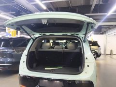 Zeekr Geely Zeekr MIX 2025 Smart Driving Edition - ფოტო 19