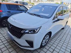 Wuling Jiachen 1.5T CVT Smart Luxury - ფოტო 1