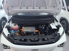 Geely Geometry E Firefly 2024 301km Starlight - ფოტო 20