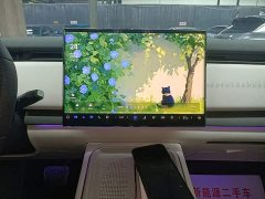 Voyah Lantu Zhiyin Four-Wheel Drive Global Edition - ფოტო 13