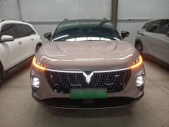 Voyah Lantu Zhiyin Four-Wheel Drive Global Edition - ფოტო 3