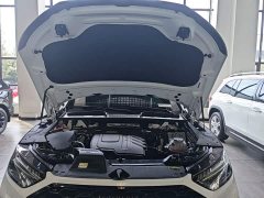 Audi Q5L Sportback 45 TFSI Luxury Edition - ფოტო 20