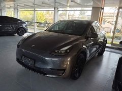 Tesla Model Y Rear-Wheel Drive - ფოტო 1