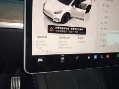 Tesla Model Y Rear-Wheel Drive - ფოტო 12