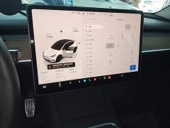 Tesla Model Y Rear-Wheel Drive - ფოტო 13