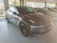 Tesla Model Y Rear-Wheel Drive - ფოტო 4