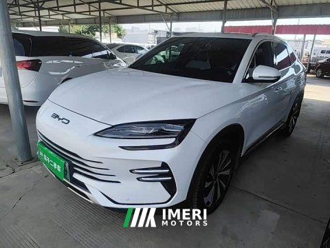 2023 BYD Song Plus New Energy Champion Edition DM-i 110KM Flagship - ავტომობილი ჩინეთიდან