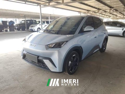 2024 BYD Seagull 2025 305km Freedom Edition - ავტომობილი ჩინეთიდან
