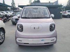 FAW Besturn Xiaoma 222km Colorful Edition - ფოტო 3