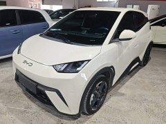 BYD Seagull Glory Edition 305km Freedom Version - ფოტო 2