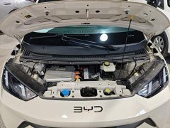 BYD Seagull Glory Edition 305km Freedom Version - ფოტო 20