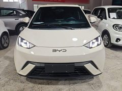 BYD Seagull Glory Edition 305km Freedom Version - ფოტო 3
