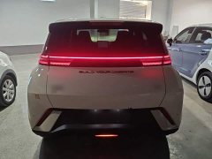 BYD Seagull Glory Edition 305km Freedom Version - ფოტო 6
