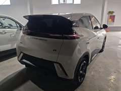 BYD Seagull Glory Edition 305km Freedom Version - ფოტო 7