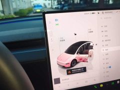 Tesla Model Y L Long Range All-Wheel Drive - ფოტო 14