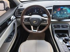 BYD Qin PLUS Champion Edition DM-i 55KM Exceed - ფოტო 11