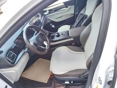 BYD Qin PLUS Champion Edition DM-i 55KM Exceed - ფოტო 15