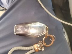 BYD Qin PLUS Glory Edition DM-i 55KM Leading - ფოტო 9
