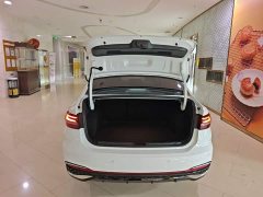 Volkswagen Lavida 2024 300TSI DSG Starry Sky Full-Featured Edition - ფოტო 19