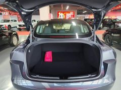 Tesla Model 3 Rear-Wheel Drive - ფოტო 19