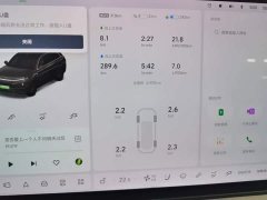 Li Auto L7 MAX - ფოტო 12