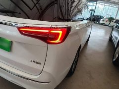 Buick GL8 ES Luxe Enjoyment Edition - ფოტო 8