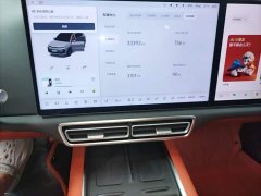 Li Auto L6 Pro - ფოტო 13