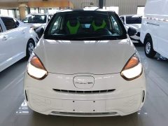 SAIC Corey Wei CLEVER 302km Excellence Edition - ფოტო 3