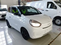 SAIC Corey Wei CLEVER 302km Excellence Edition - ფოტო 4