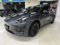 Tesla Model Y Long Range All-Wheel Drive - ფოტო 1