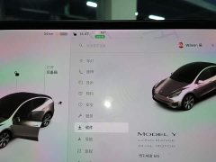 Tesla Model Y Long Range All-Wheel Drive - ფოტო 12