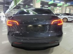 Tesla Model Y Long Range All-Wheel Drive - ფოტო 6