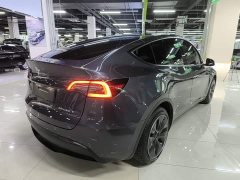 Tesla Model Y Long Range All-Wheel Drive - ფოტო 7