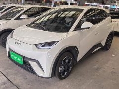 BYD Seagull 2025 305km Freedom Edition - ფოტო 1
