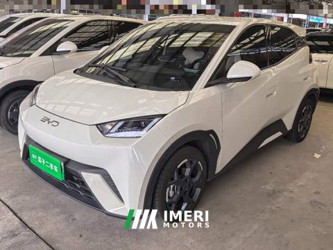 2024 BYD Seagull 2025 305km Freedom Edition - ავტომობილი ჩინეთიდან
