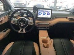 BYD Seagull 2025 305km Freedom Edition - ფოტო 10