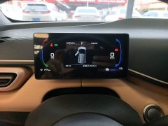 BYD Seagull 2025 305km Freedom Edition - ფოტო 12