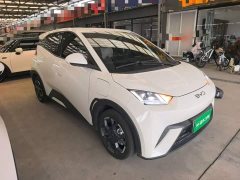 BYD Seagull 2025 305km Freedom Edition - ფოტო 4