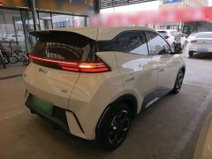 BYD Seagull 2025 305km Freedom Edition - ფოტო 7