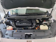 Buick GL8 New Energy Lusang Respect Edition - ფოტო 20