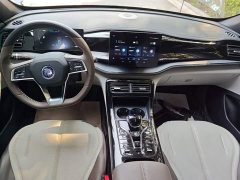 BYD Qin PLUS 2024 Glory Edition DM-i 55KM Leading - ფოტო 10