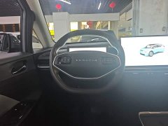 Nissan Venucia VX6 2024 450 Mobility Edition - ფოტო 11