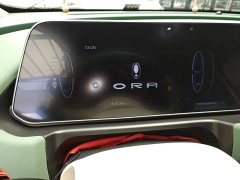 ORA Good Cat GT 2023 Mulan Edition 401km Prestige - ფოტო 12